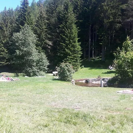 Panorama Wildgrat شقة فينس