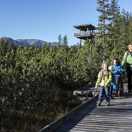 Panorama Wildgrat Appartement *