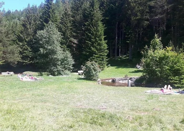 Panorama Wildgrat 아파트 웬스