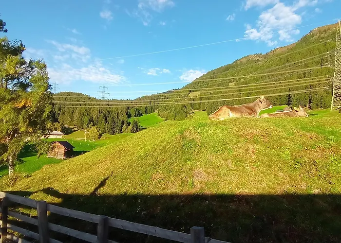 Panorama Wildgrat Apartament